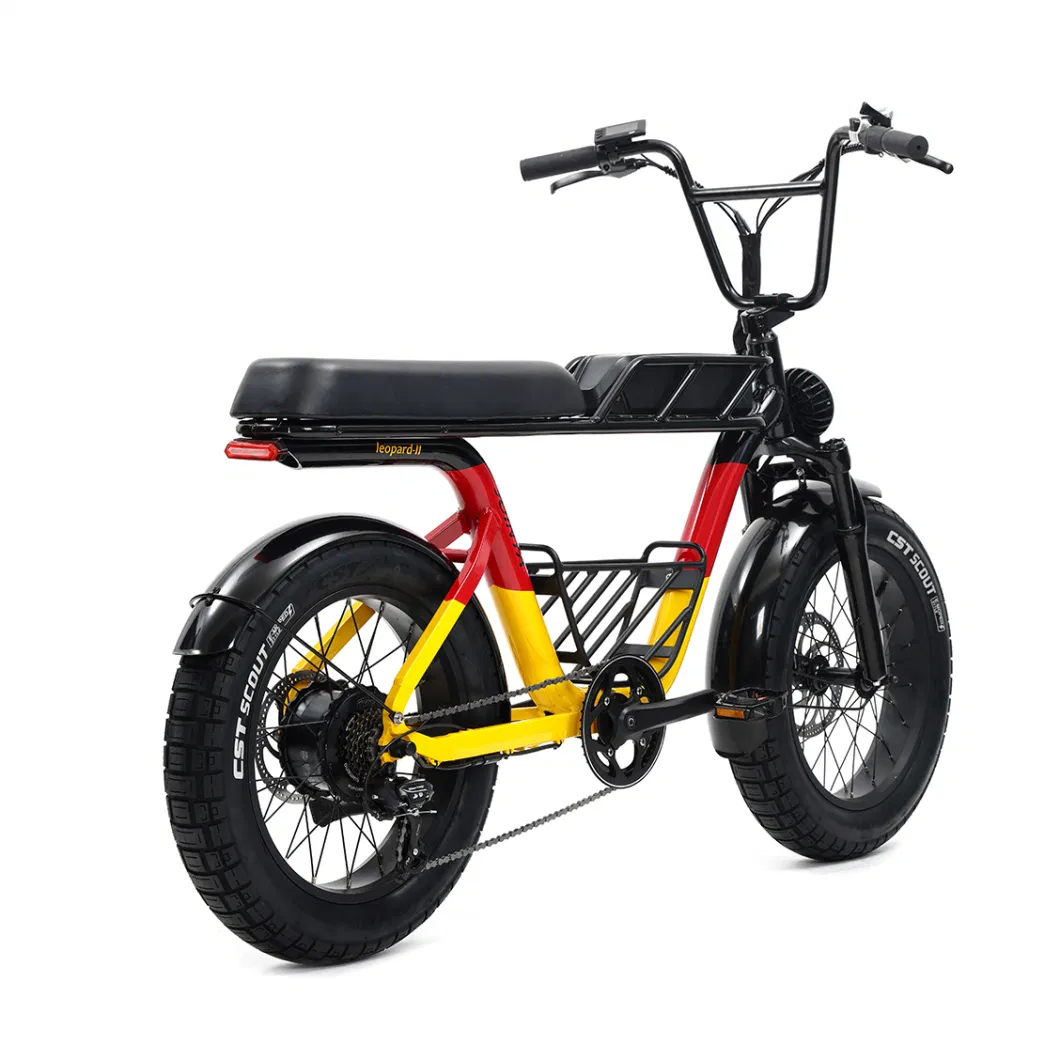 Best High Performance Electric Bike Moped Ebike