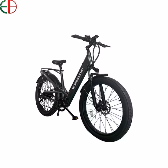 750W 52V ファットタイヤマウンテン電動自転車電動自転車 5% 割引