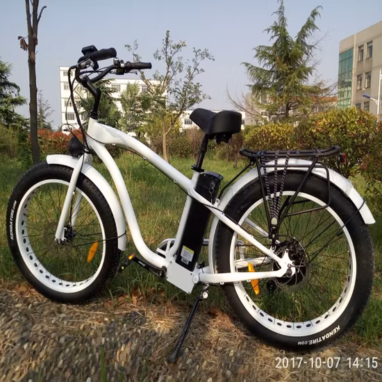 500W/750W Bafun Bafang モーターファットタイヤマウンテン卸売電動自転車