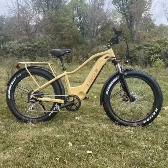 工場供給電動モーターバイク 48V 500W リチウム電池 E バイク通勤電動シティ自転車