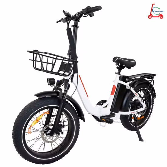 19 インチ 7 スピード 4.0 ファット タイヤ Ebike ティーンエイジャーの電動自転車 OEM